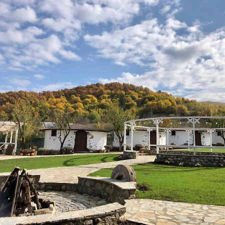 Hotel Satul Cu Flori Buzău Exteriér fotografie