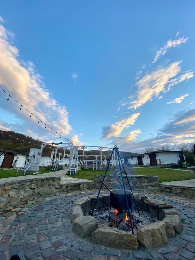 Hotel Satul Cu Flori Buzău Exteriér fotografie