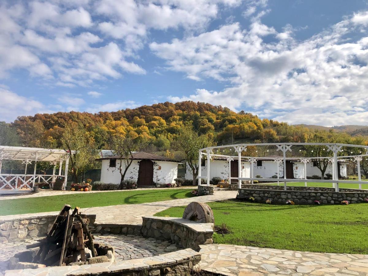 Hotel Satul Cu Flori Buzău Exteriér fotografie